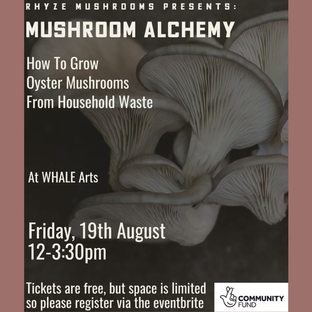 mushroom-alchemy workshop poster featured image
