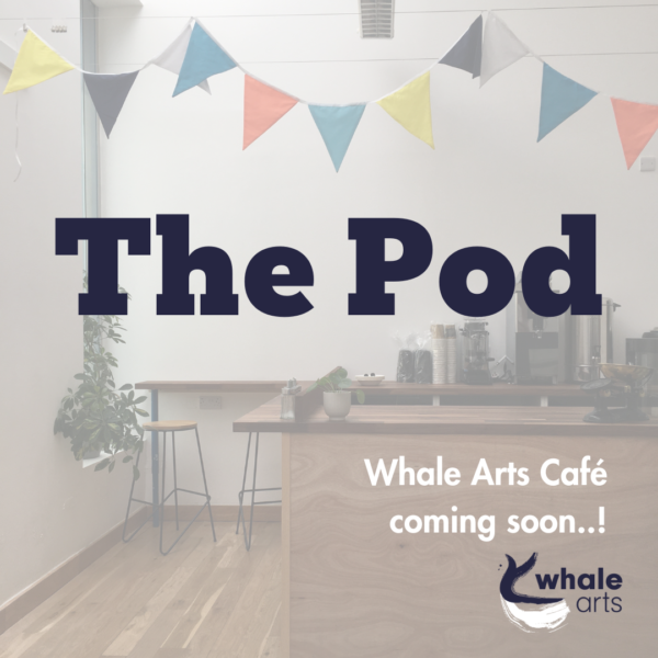 Pod Cafe Update WHALE Arts Featured Image