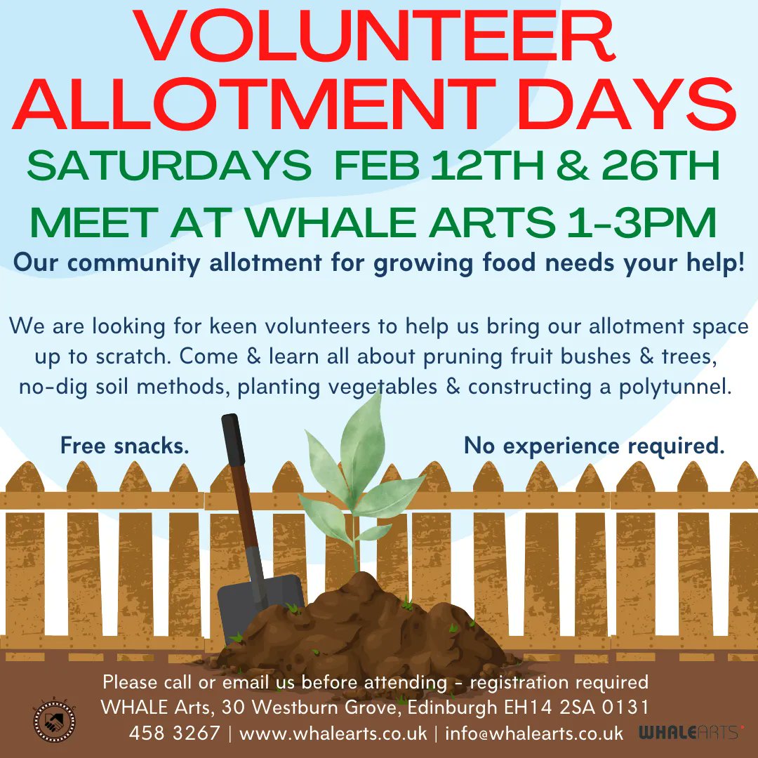 whale allotment featured image