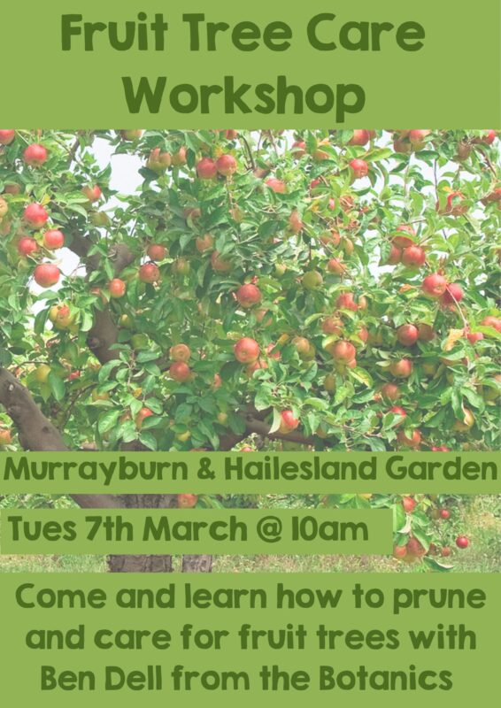 Fruit Tree Care Workshop