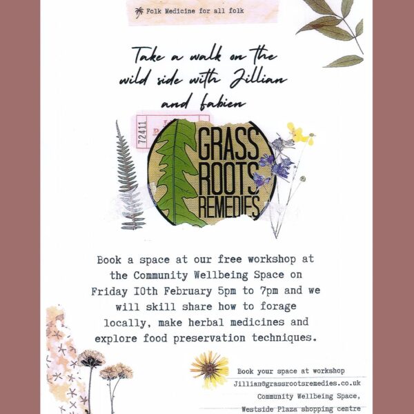grass roots remedies forage walk