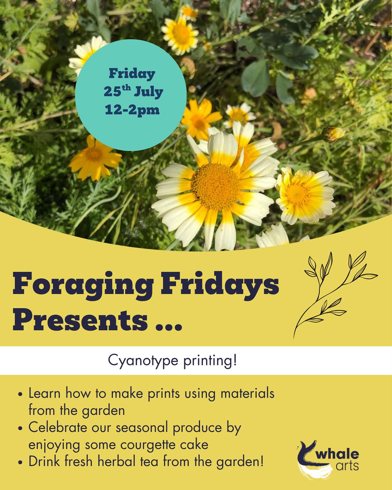 foraging fridays Cyanotype Printing