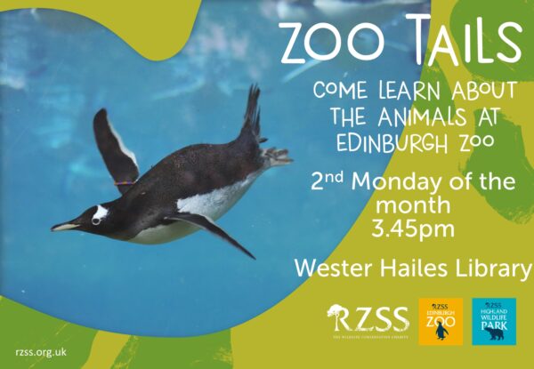 zoo tails at wester hailes library