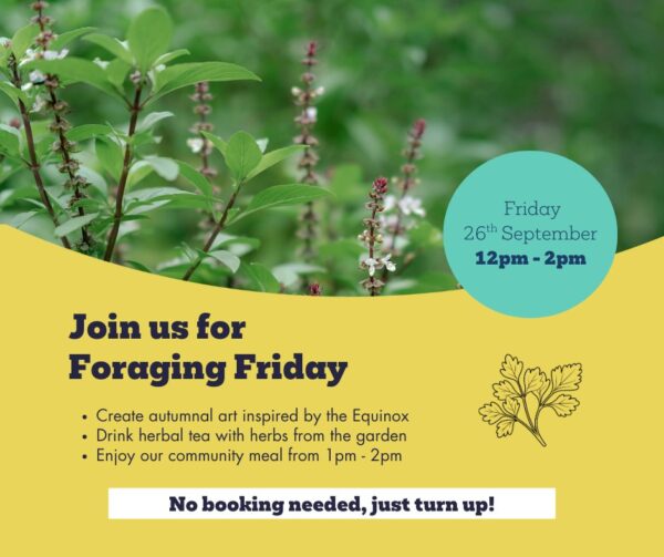 Foraging Friday Autumn Equinox