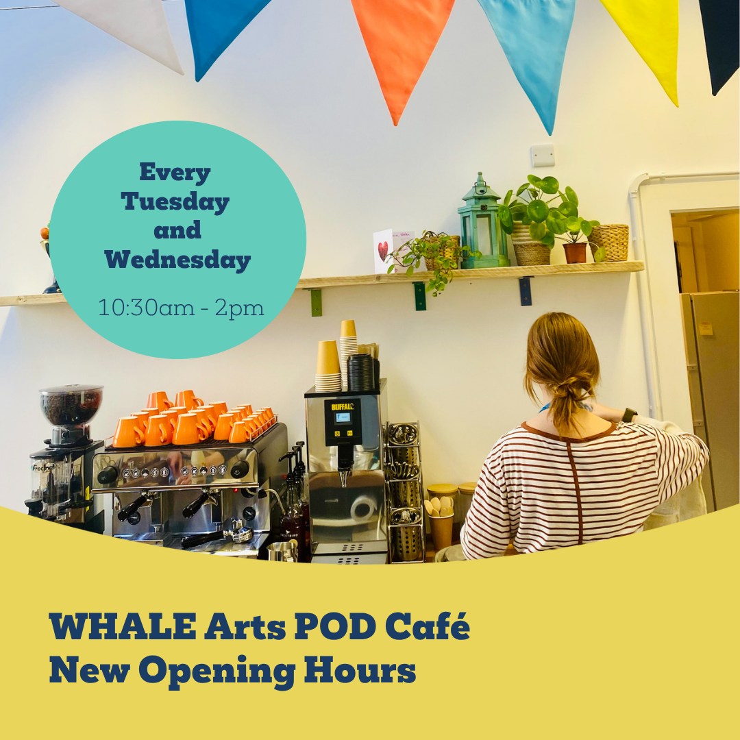 WHALE Pod Cafe New Opening Hours Featured Image