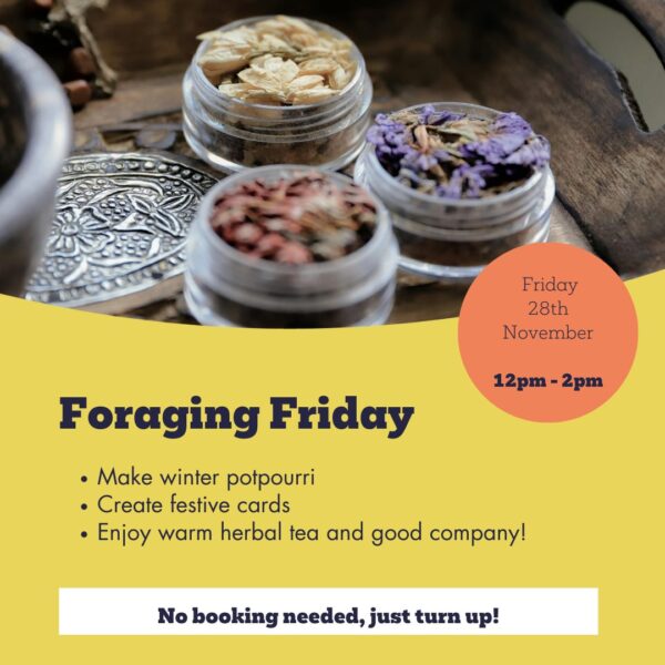 Winter Foraging Friday