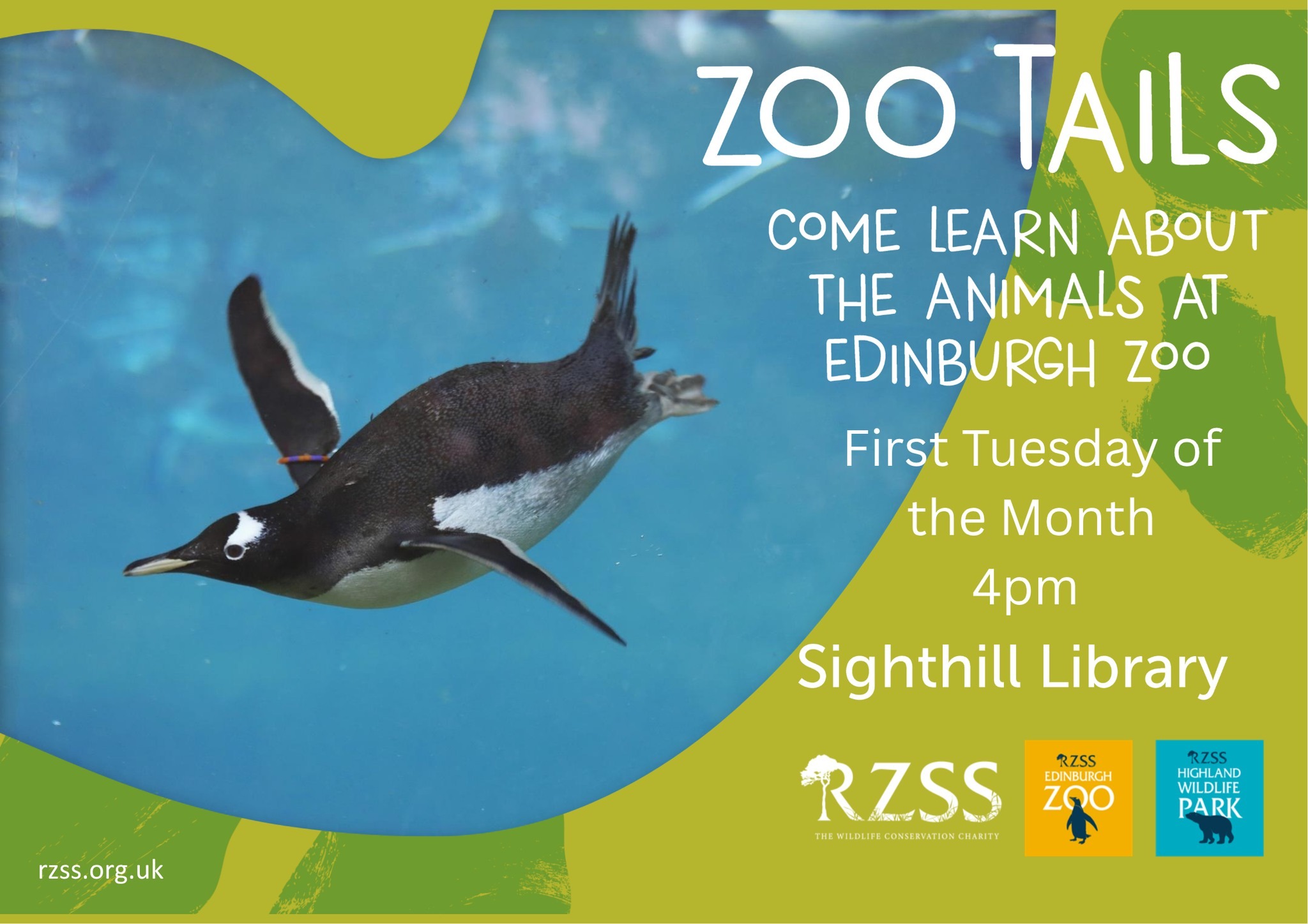 Zoo tails at Sighthill Library