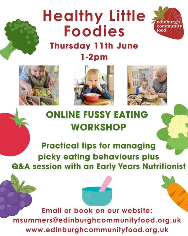 Online early years food workshops