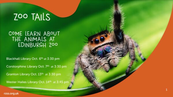 zoo tails at wester hailes library